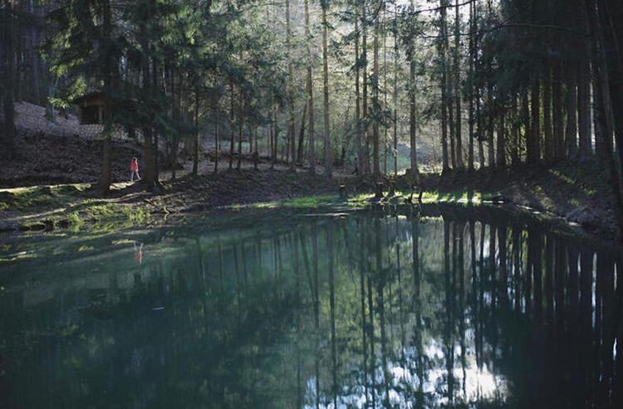 Ferienhaus "Schmetterling" Am See Im Bergland Kirchheim  Εξωτερικό φωτογραφία